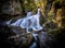 Waterfall Bucharach, Gorny Altai, Russia, summer