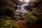 Waterfall in the Budderoo National Park, Nellies Glen in Australia