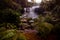 Waterfall in the Budderoo National Park, Nellies Glen in Australia