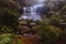 Waterfall in the Budderoo National Park, Nellies Glen in Australia