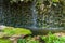 Waterfall in butterfly garden, Thailand