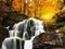 Waterfall Cascade  in a beautiful deciduous autumn forest. Bright autumn leaves on stones covered with moss by the river.