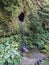 Waterfall cascade falling from rock cave covered by moss and lush vegetation on hiking trail Janela do inferno, in