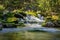 Waterfall cascades in mossy green forest