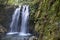 Waterfall cascading with mossy rocks and fern plants on rock face