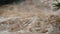 Waterfall cataract in forest mountains. Dirty streams are flowing down the mountain slopes of the mountain forest after heavy