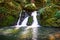 Waterfall on the Cataract trail in Marin Municipal Water District, Marin county, north San Francisco bay area, California