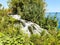 Waterfall in the city center. in a park with green tall plants, a stream with water that flows into a large waterfall. sea foam