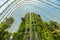 Waterfall in the Cloud Forest dome at Gardens by the Bay futuristic a tropical forest fantastic feeling wonder the popular travel