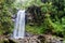 Waterfall in a cloud forest near Boquete, Panama. Accessible by Lost Waterfalls hiking trai