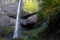 Waterfall in the Columbia River Gorge