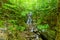 Waterfall in Corney Brook trail, Cape Breton Highlands National