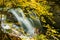 Waterfall in a deciduous forest on a sunny autumn morning