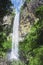 Waterfall on edge of rainforest.