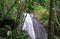 Waterfall in El Yunque Rain Forest on the Island of Puerto Rico