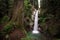 Waterfall in a evergreen forest with ferns and a tree in the foreground at Casacade Falls, Mission, BC.