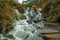 Waterfall falling over rocks in a lush forest