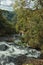 Waterfall falling over rocks in a lush forest