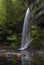 Waterfall with ferns and still reflective foreground