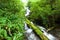 Waterfall, Fires Creek, Nantahala National Forest