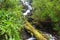 Waterfall, Fires Creek, Nantahala National Forest, NC