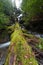 Waterfall in Fires Creek, Nantahala National Forest, NC