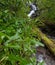 Waterfall on Fires Creek, Nantahala National Forest, NC