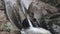 Waterfall flow mountain scenery around closeup