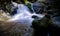 Waterfall is flowing in jungle. Waterfall in green forest. Mountain waterfall. Cascading stream in lush forest. Nature background