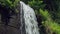 Waterfall is flowing over stone brick wall, ferns are growing around