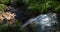 Waterfall Flows down a Rocky Cliff in a Forest