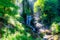 Waterfall in foggy forest in summer sunlight