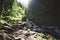 Waterfall in forest, Altai Republic