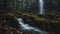 waterfall in the forest Horror waterfall of poison, with a landscape of dead trees and fungi, with a spider and a peaceful