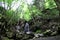 Waterfall in the forest, Kosovo