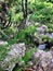 Waterfall in the forest in mexico