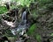 Waterfall in the forest, southern Kosovo