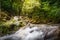 Waterfall forest stones stream jungle