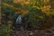 Waterfall in the forest. USA. Maine.