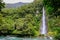 Waterfall in the forest in Westland National Park, New Zealand