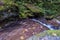 Waterfall in the Foreste Casentinesi NP in autumn, Tuscany, Ital