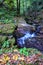 Waterfall in the Foreste Casentinesi NP in autumn, Tuscany, Ital