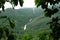 Waterfall on forested mountain