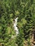 Waterfall on a foresty mountain cliff