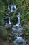 Waterfall at Fraga do Eume,  Spain