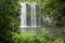 A waterfall framed by greenery as the water drops into the plunge pool below