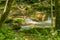 An Waterfall Framed by Trees