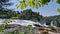 Waterfall in Germany -Rhine Falls