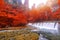 Waterfall in Golden whip stream at Zhangjiajie National Forest P