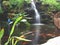 Waterfall and goldfish